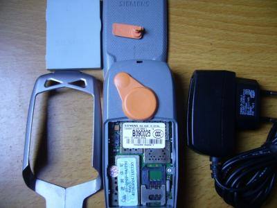 P4.JPG