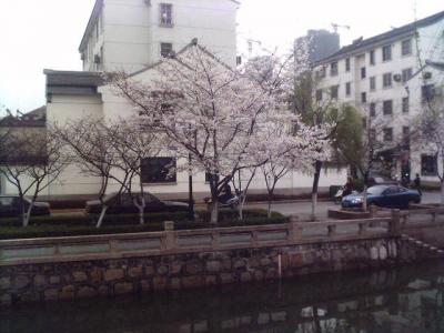 070326_123827.jpg