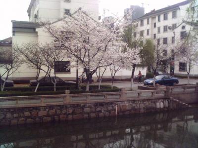 070326_123840.jpg