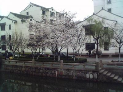070326_123859.jpg