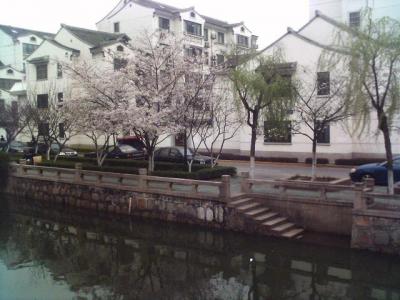 070326_123913.jpg