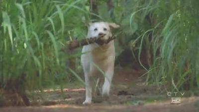 Lost.Season3.EP10_S-Files.rmvb_000314647.jpg