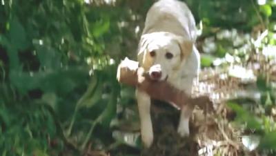 Lost.Season3.EP10_S-Files.rmvb_000372789.jpg