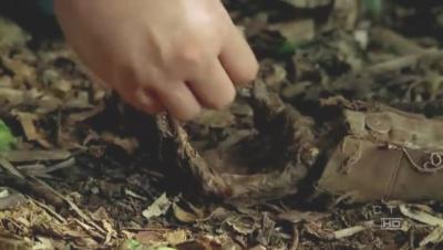 Lost.Season3.EP10_S-Files.rmvb_000385134.jpg