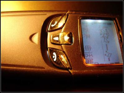 DSCF2919.jpg