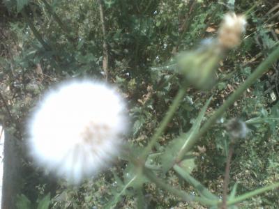070413_115806.jpg