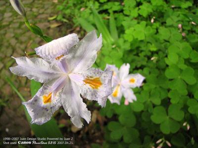IMG_1655.jpg