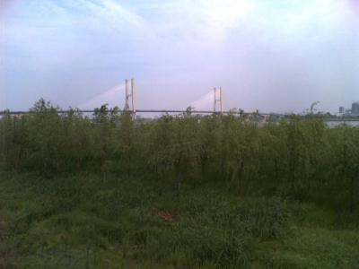po_070403_145549.jpg