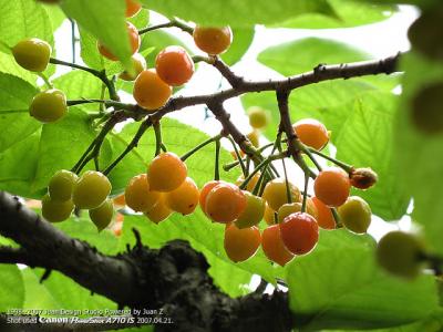 IMG_1641x.jpg