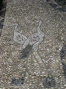 IMG_1645.jpg