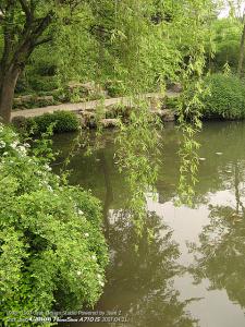 IMG_1672.jpg