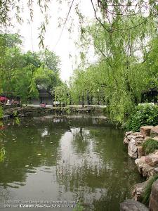 IMG_1696.jpg