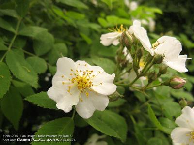IMG_1674x.jpg