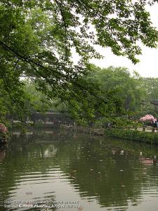 IMG_1677.jpg