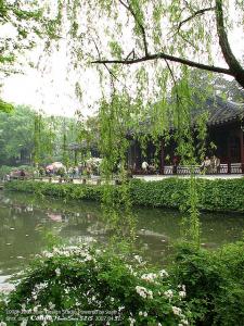 IMG_1699.jpg