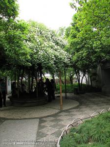 IMG_1766.jpg