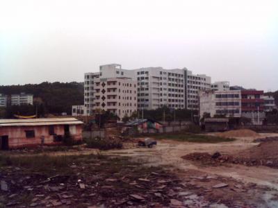 SIEMENS_S65_060415_174504.jpg