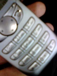 IMG0019A.jpg