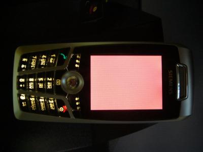P1090820_resize.JPG