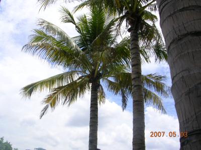 DSCN0326.JPG