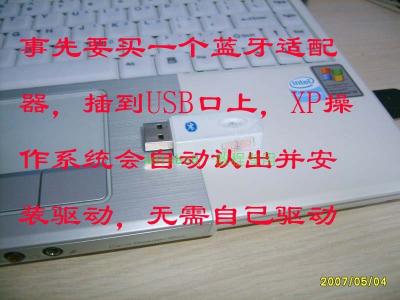 S5003085.JPG
