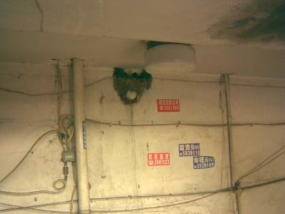 20070506.jpg