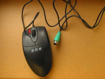 IMG_4747.JPG