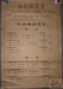 3915031.jpg