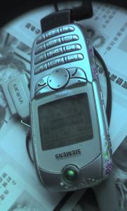 img237.jpg
