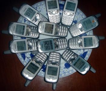С8126.JPG