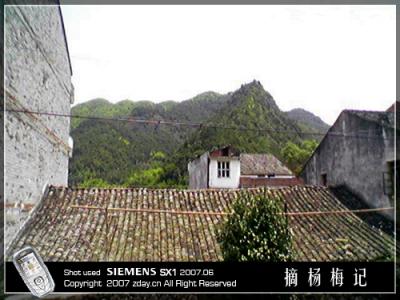 yangmei01.jpg