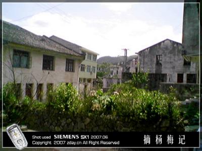 yangmei02.jpg