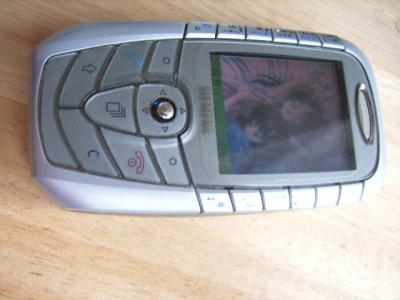 RIMG0009.JPG