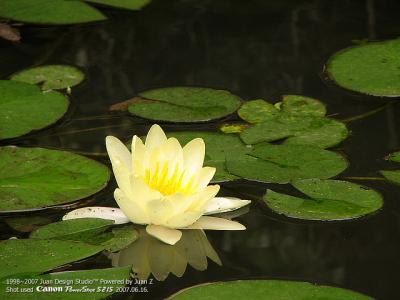 IMG_2183.jpg