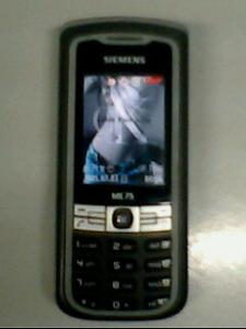 IMG0126A.jpg