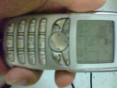 IMG0307A.jpg