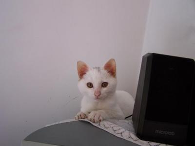 000_0007.jpg