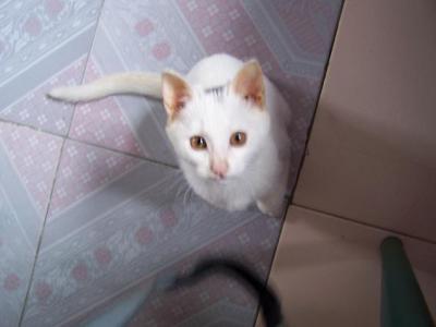 000_0019.jpg