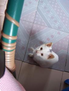 000_0017.jpg