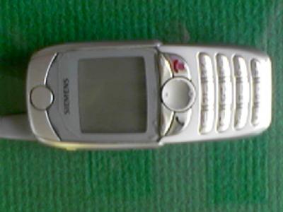 61.jpg
