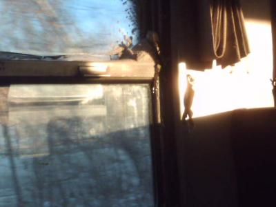 070306_065659.jpg