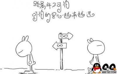 338.jpg