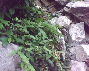 img076112.jpg