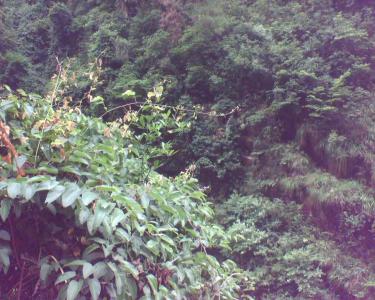 img060112.jpg