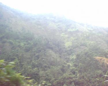 img085112.jpg
