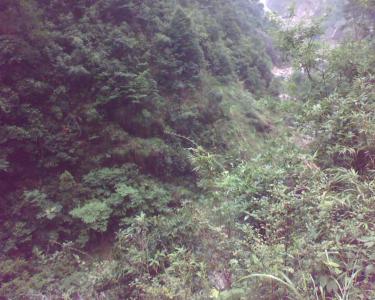 img081112.jpg