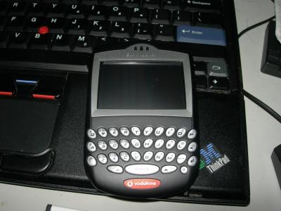 7290.JPG