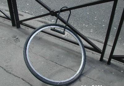xt.jpg