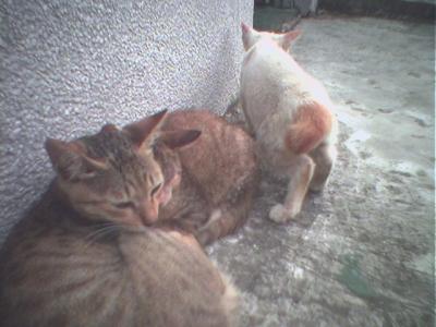 Photo(06).jpg