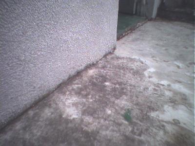 Photo(11).jpg